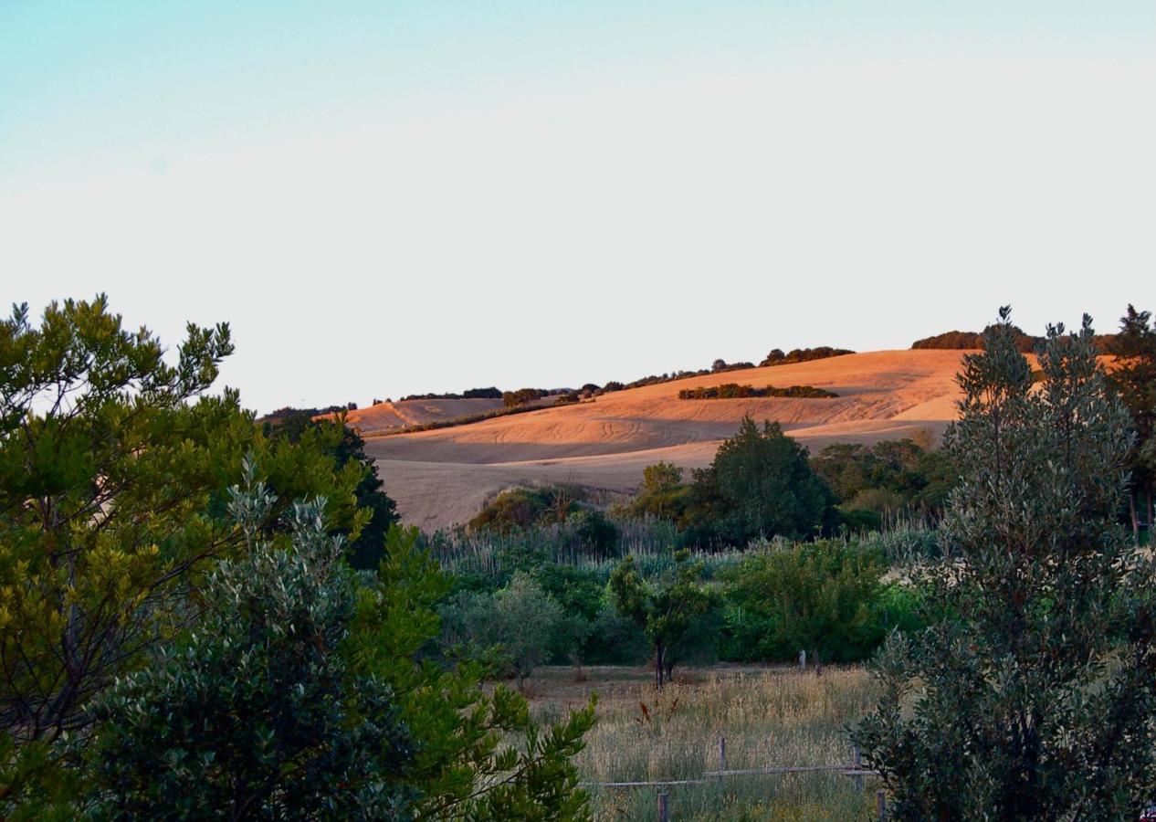Bed And Breakfast Casale Del Sole Castellina Marittima Dış mekan fotoğraf