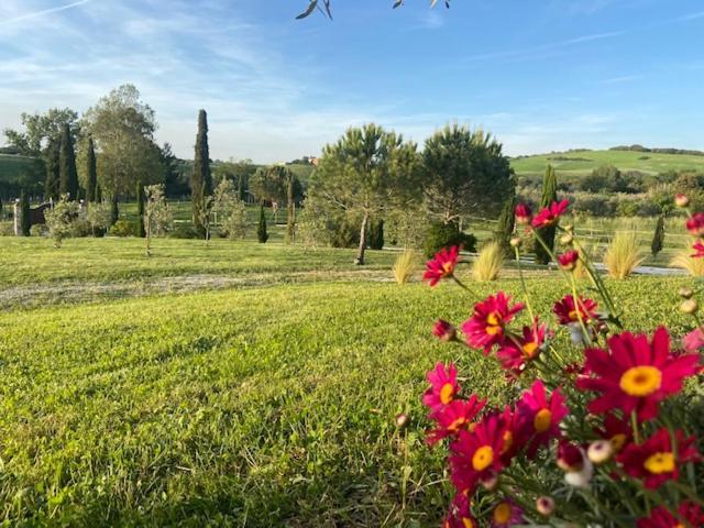 Bed And Breakfast Casale Del Sole Castellina Marittima Dış mekan fotoğraf