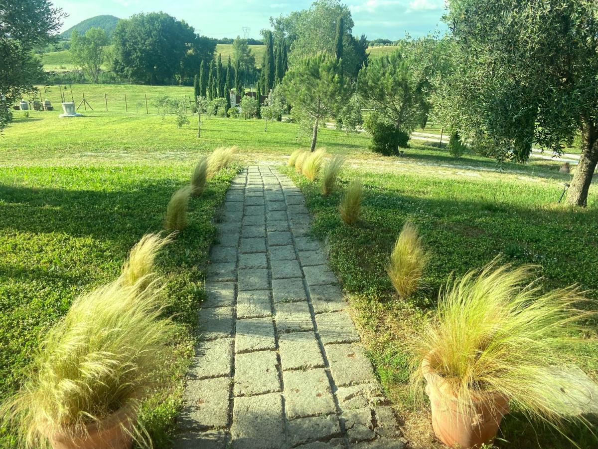 Bed And Breakfast Casale Del Sole Castellina Marittima Dış mekan fotoğraf